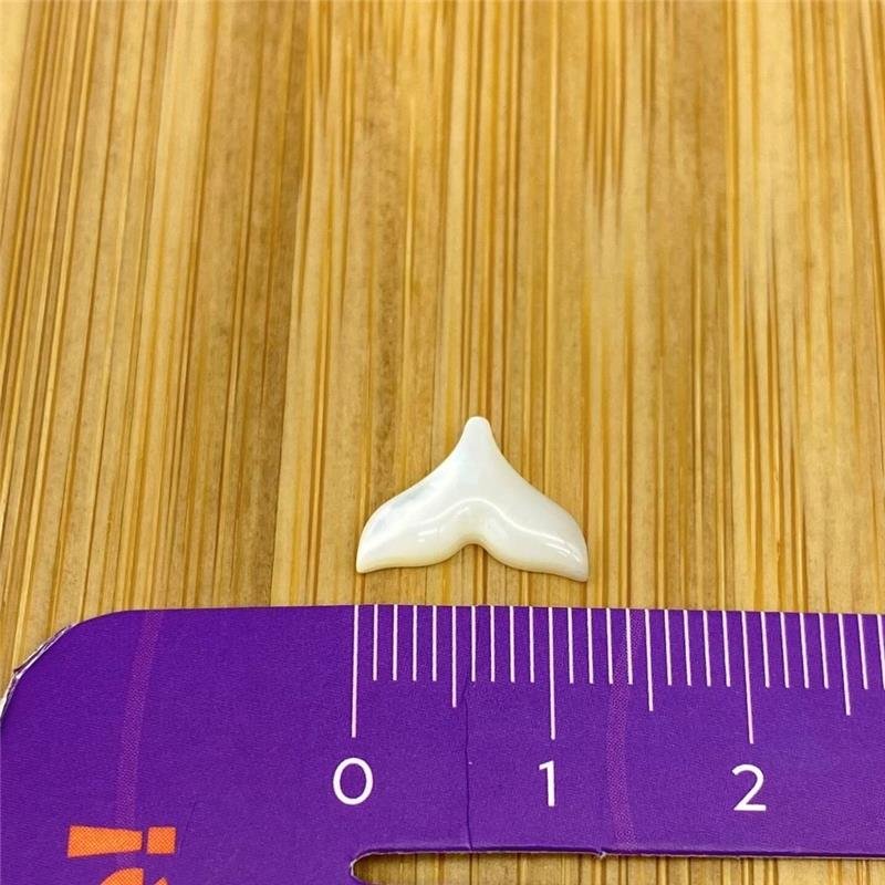 MADREPÉROLA 8X12MM RABO DE SEREIA